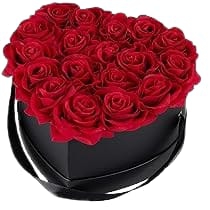 Valentines Day Madisson Syria