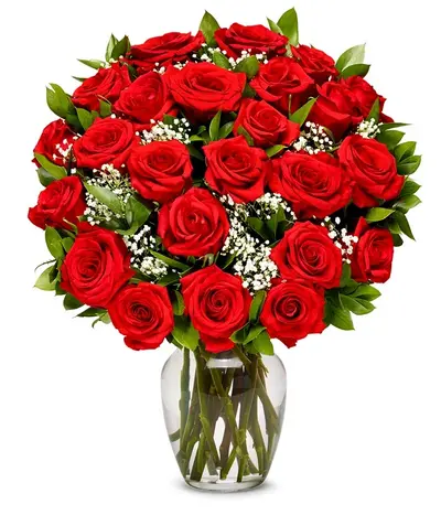 Red Roses love Syria