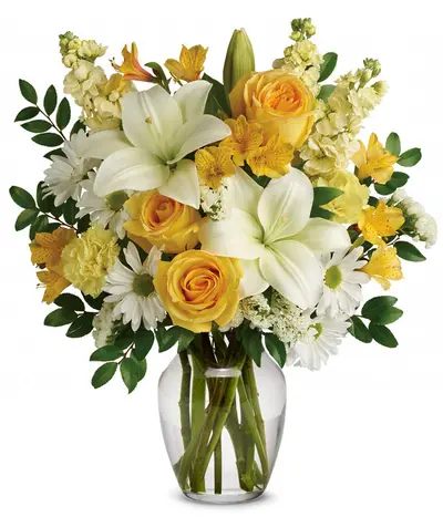 Get Well Soon Amy Syria