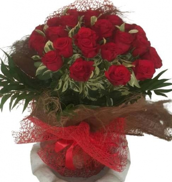 Red Roses Charlotte Syria